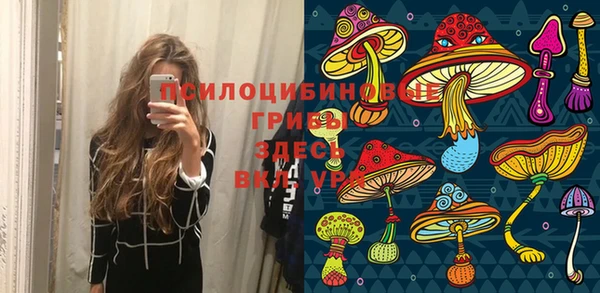 меф Белокуриха