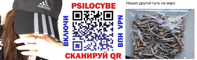 Псилоцибиновые грибы Psilocybe  продажа наркотиков  ссылка на мегу маркетплейс  Назарово 