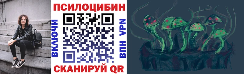 Галлюциногенные грибы Psilocybine cubensis Назарово